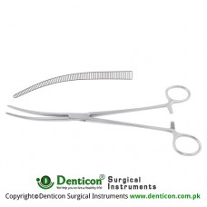 Crafoord Haemostatic Forceps Curved Stainless Steel, 24.5 cm - 9 3/4"